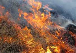 سه هکتار از اراضی روستای بیکوس طعمه حریق شد/ آتش مهار شد