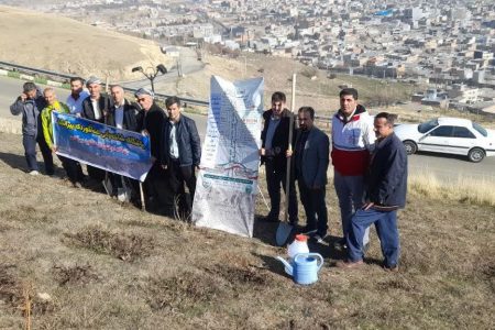 پویش بذرکاری با بذور مرتعی و درختان جنگلی و در شهرستان پیرانشهر