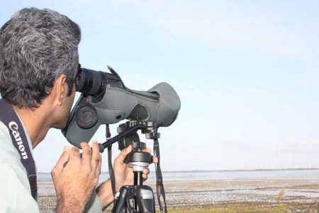 آغاز سرشماری زمستانی پرندگان در منابع آبی مهاباد
